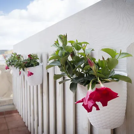 Nobilis Apartment *